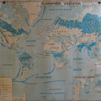 Planisphère, physique et végétation.