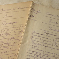 Devoirs de vacances (2 cahiers )